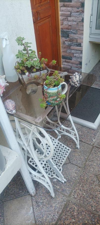 La Ruta Del Jazz Bed & Breakfast ซานตาครูซ ภายนอก รูปภาพ